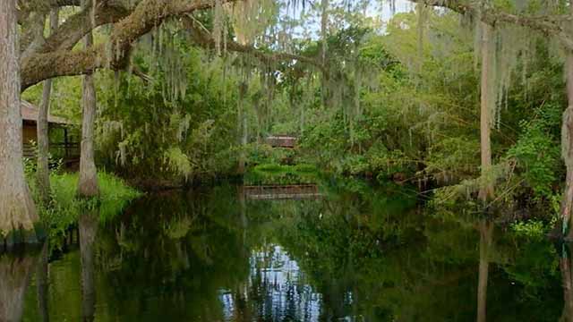 Check for The Everglades: A Symphony of Life airing on a public television station near you!